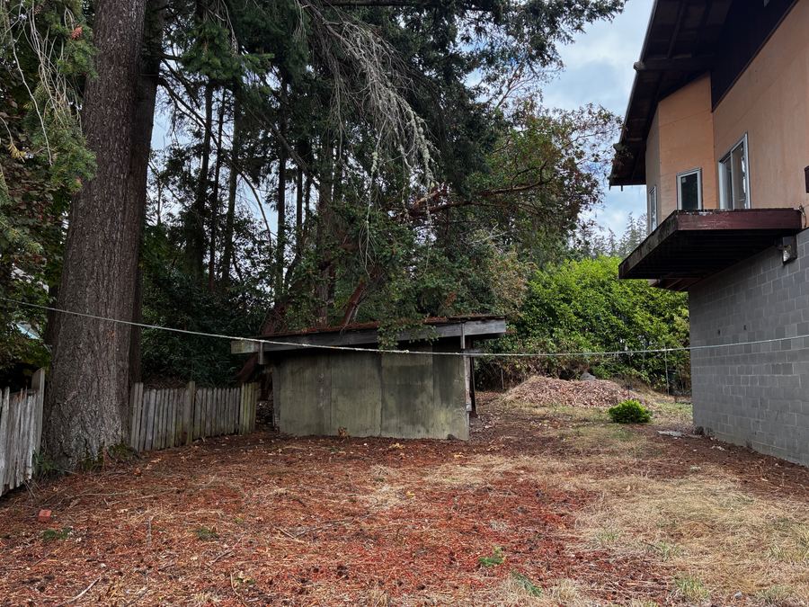 Open ground behind the house at 26175 Bannister St NE, Kingston
